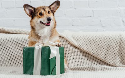 Great Gift Ideas for the Dog Lover in Your Life