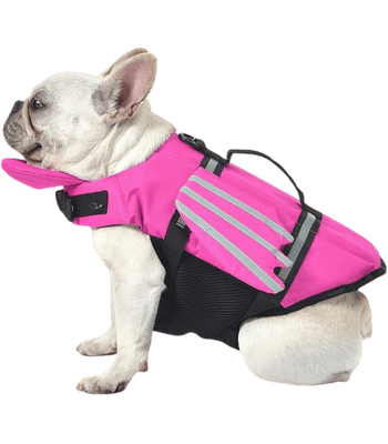 Pink Dog Life Jacket with Wings & Chin Float