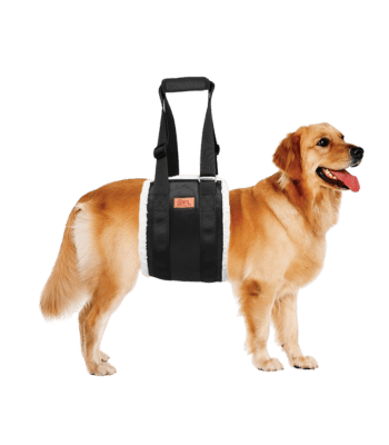 Adjustable Dog Lift Harness – Hind Leg Support for Large Senior or Injured Dogs