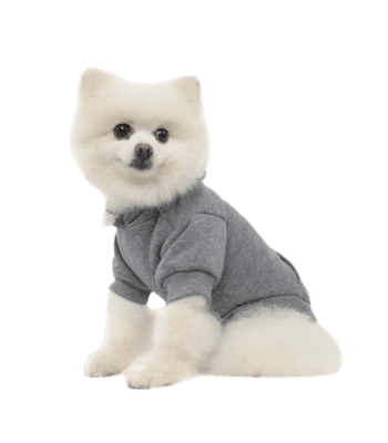 KOOLTAIL Dog Hoodie – Warm, Soft, Grey XS with Leash Hole & Pocket 