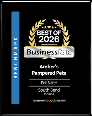 Business Rate Best of 2026 winner - Amber's Pampered Pets